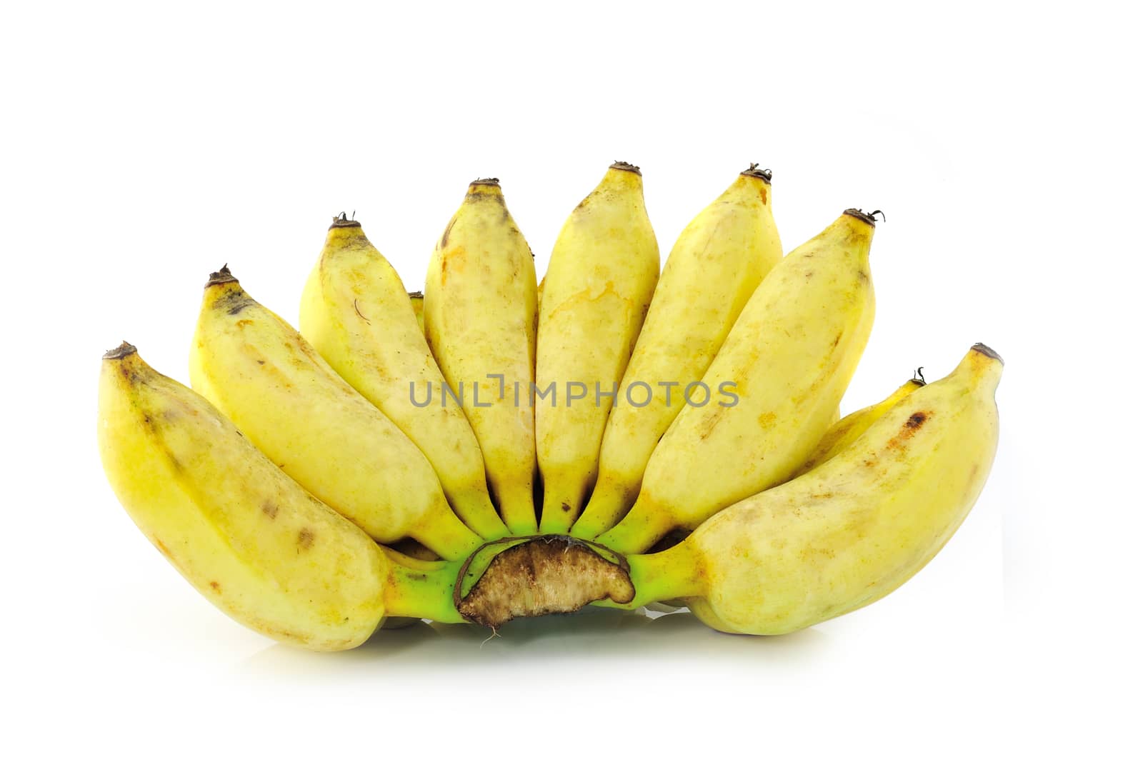 Cultivated banana ripe by sommai