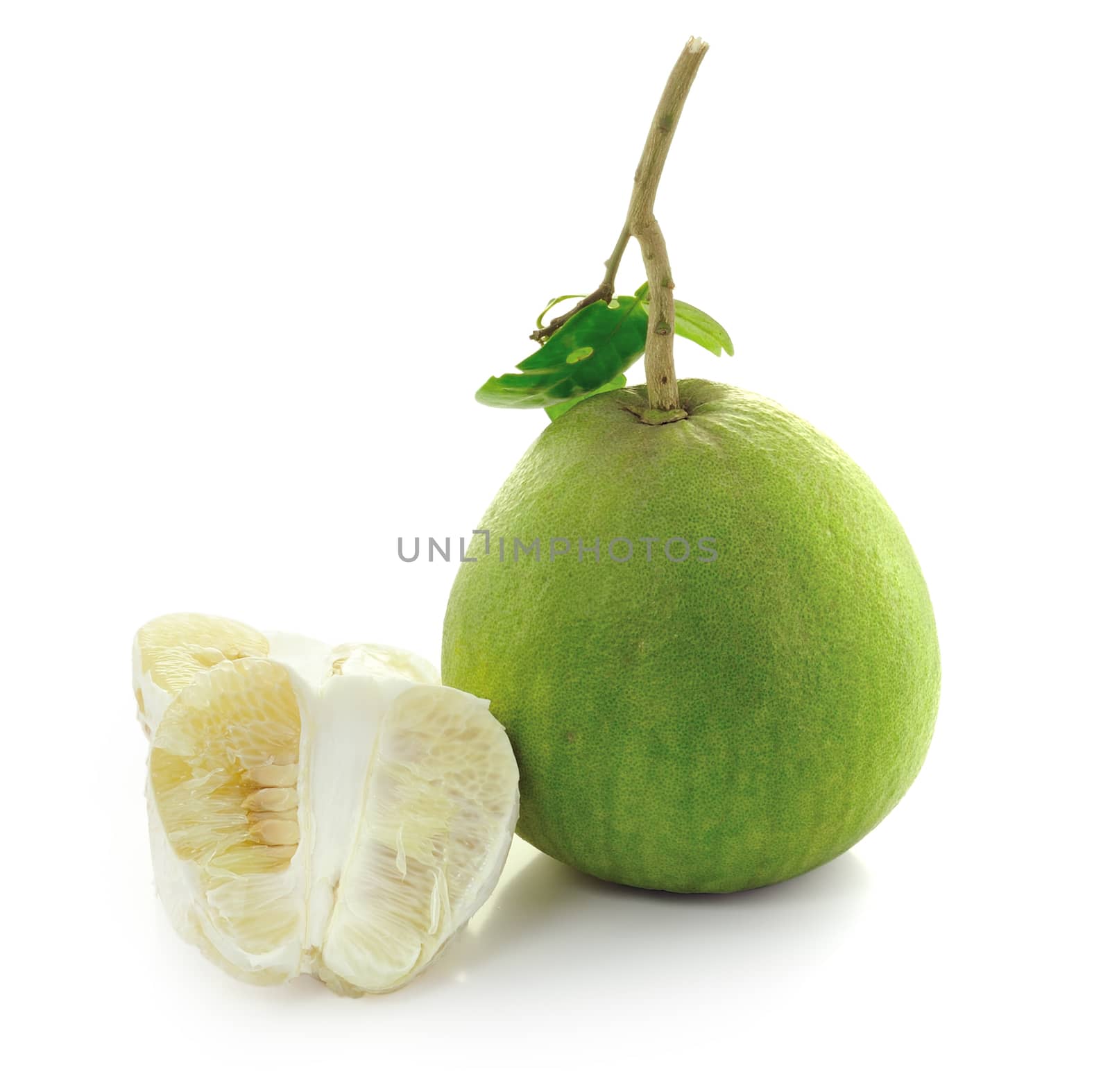 grapefruit with leaves on a white background by sommai