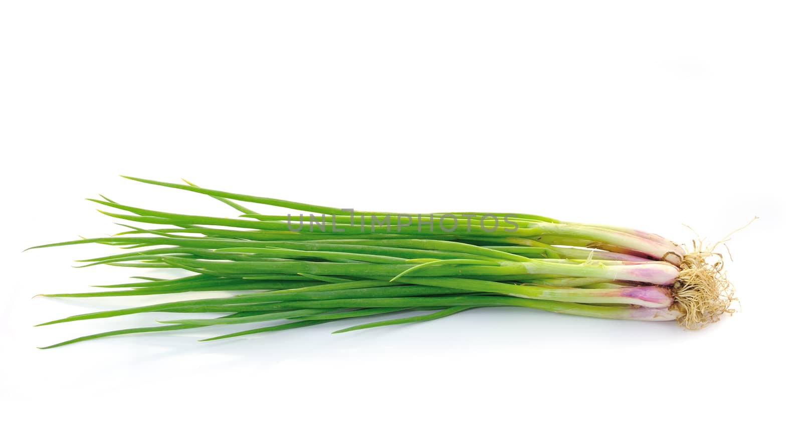  beautiful spring onions on a white background. by sommai