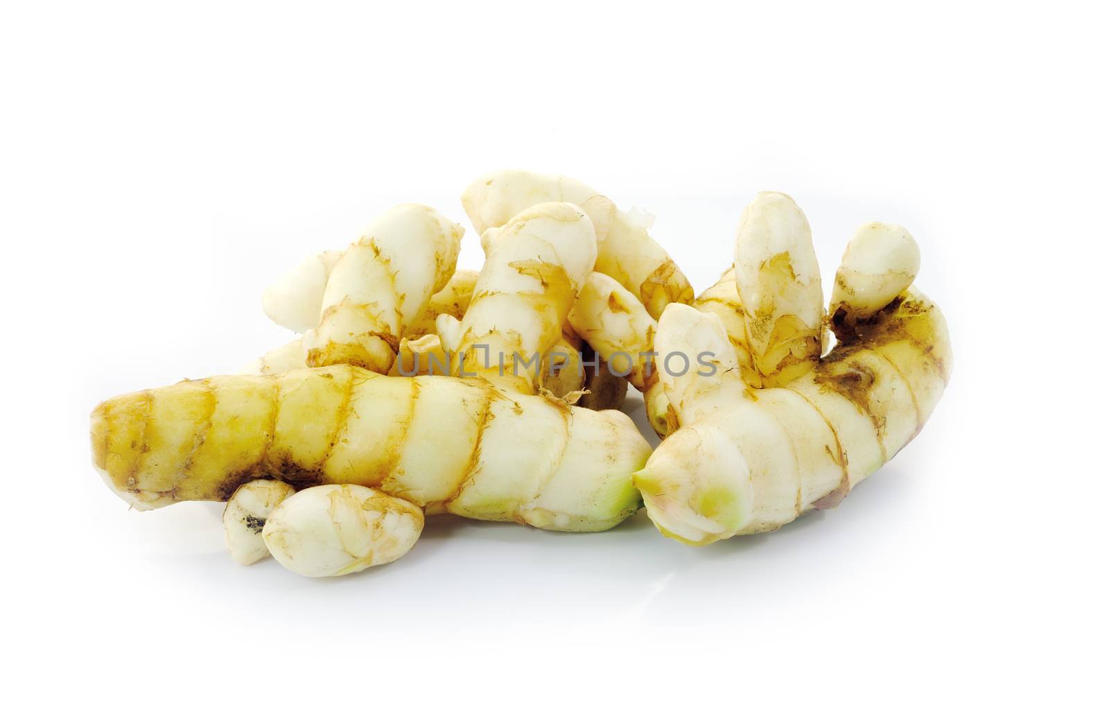 white turmeric