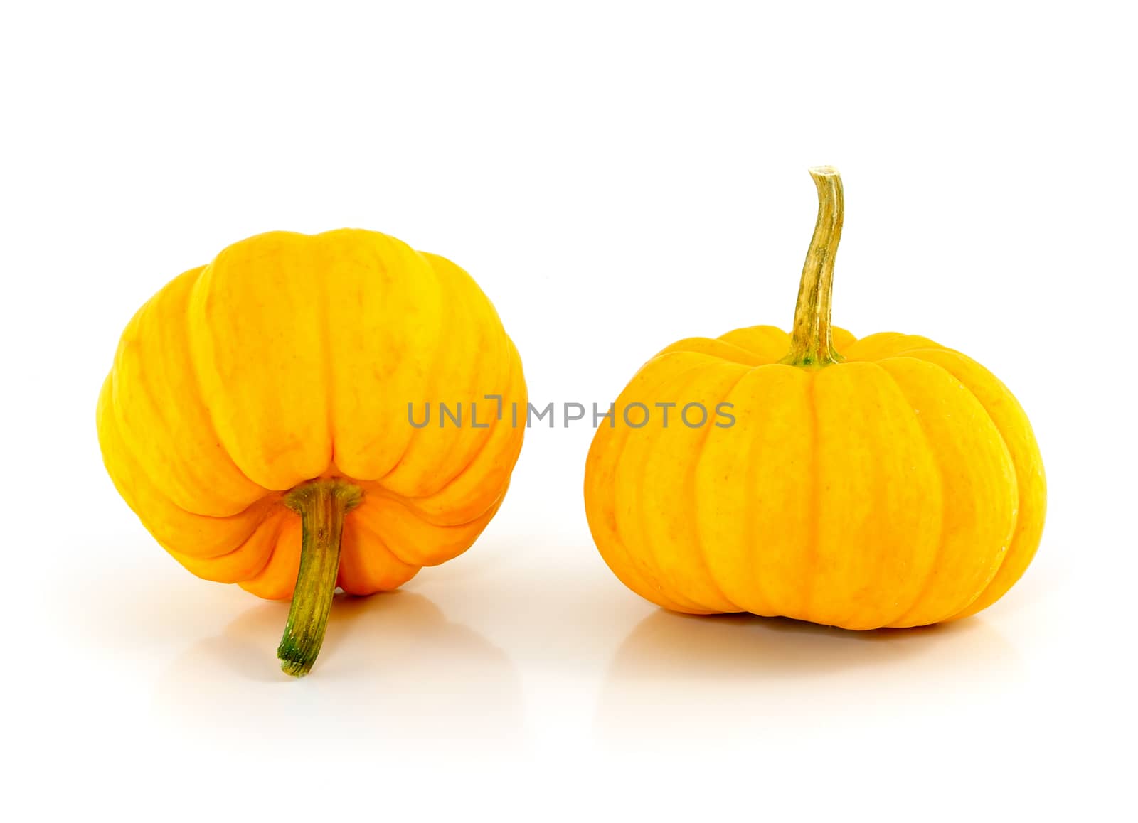 pumpkin on white background