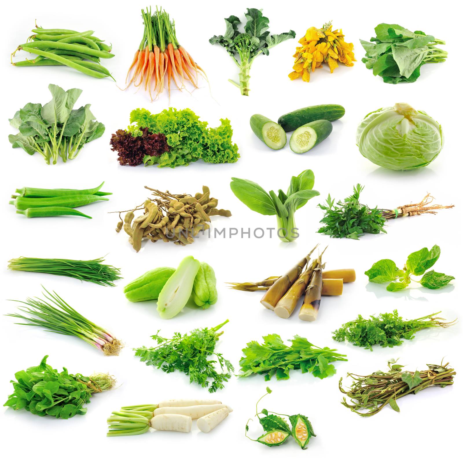 Vegetables collection isolated on white background by sommai