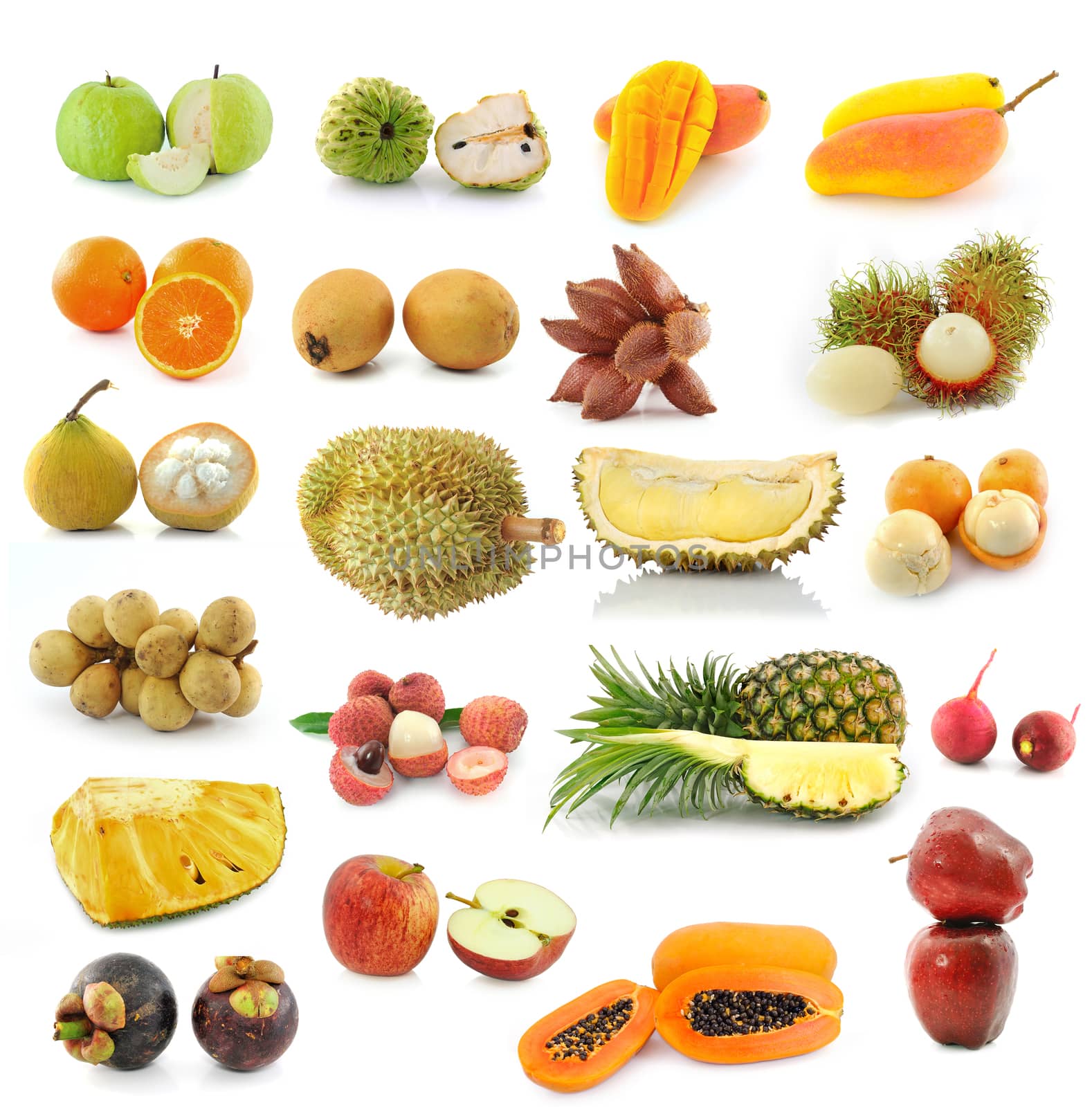 fruit collection isolated on white background