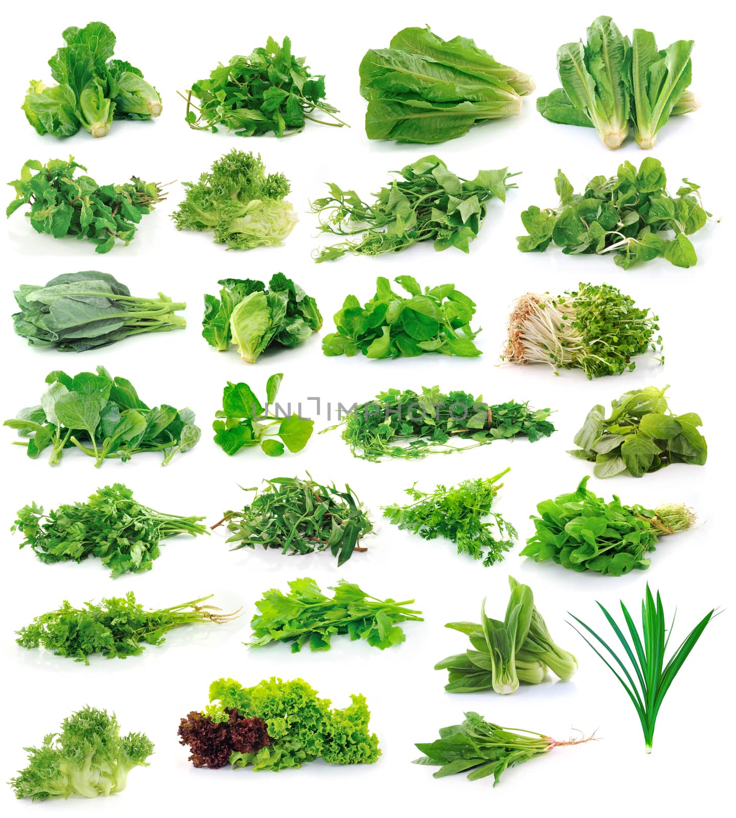 Vegetables collection isolated on white background