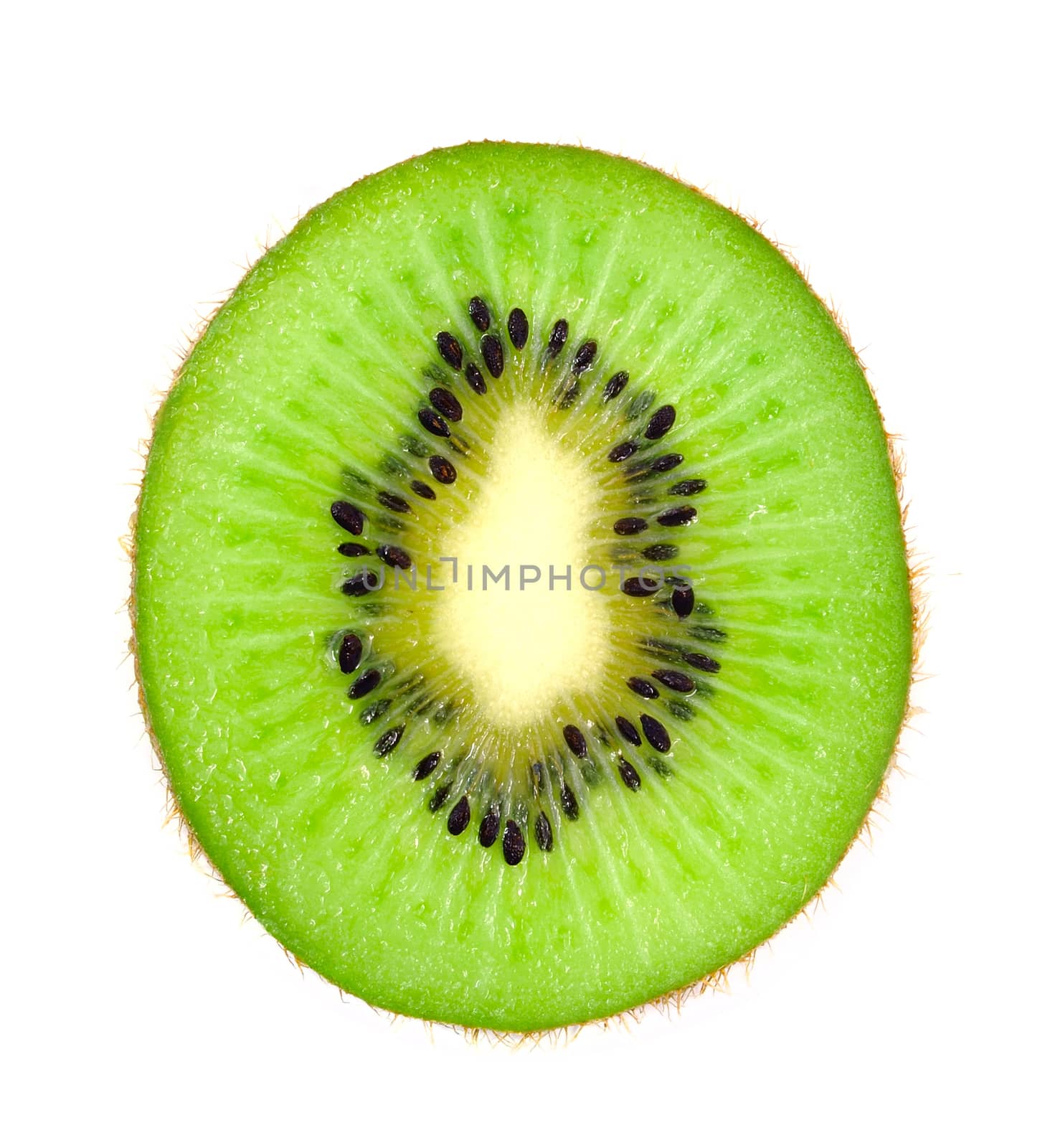 Beautiful slice  kiwi isolated on white background 