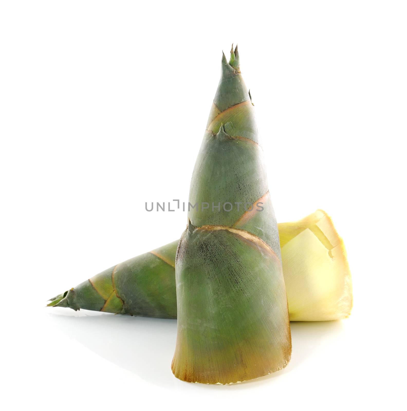 Bamboo shoot on white background by sommai
