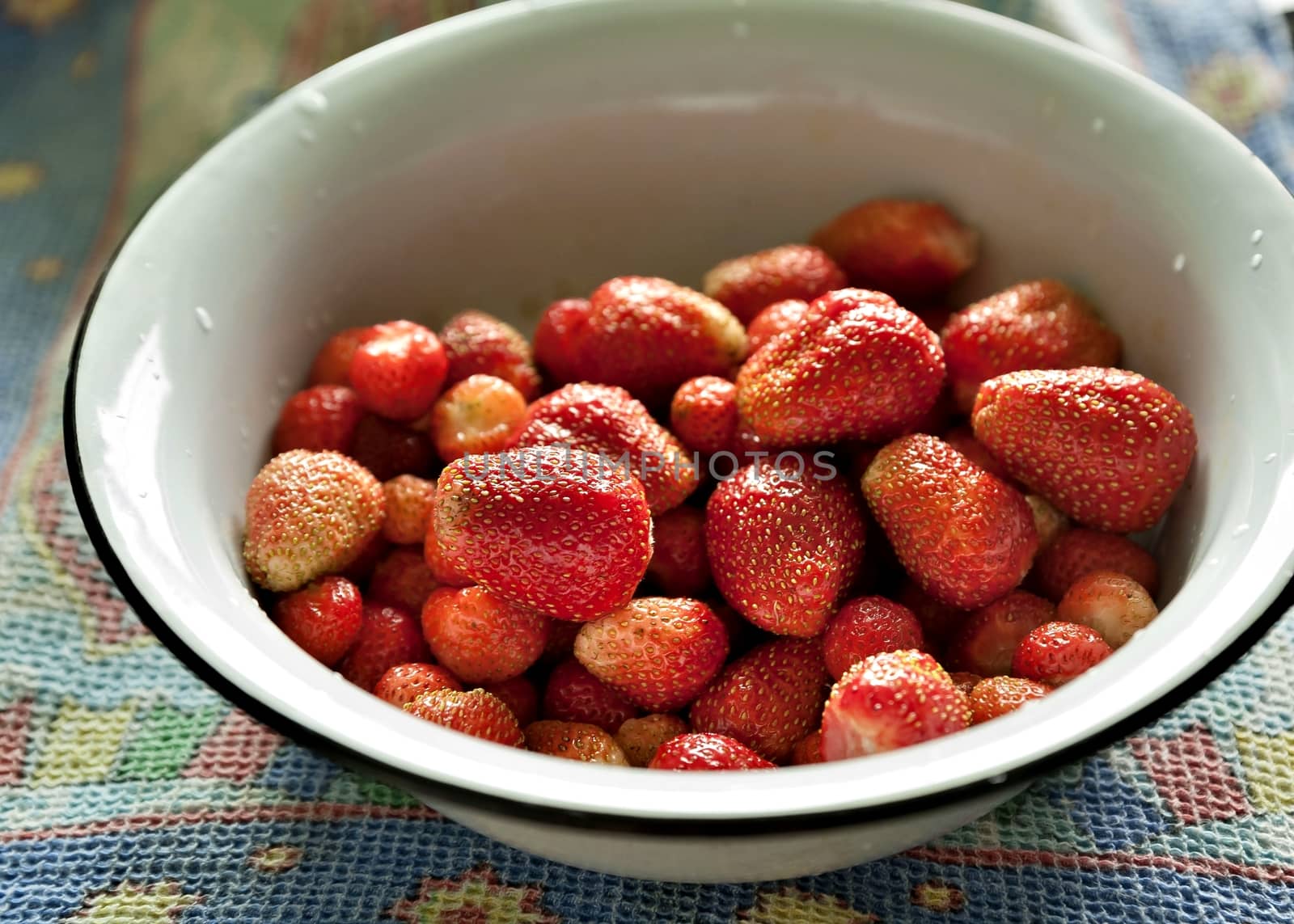 large red fragrant garden strawberry in a plate