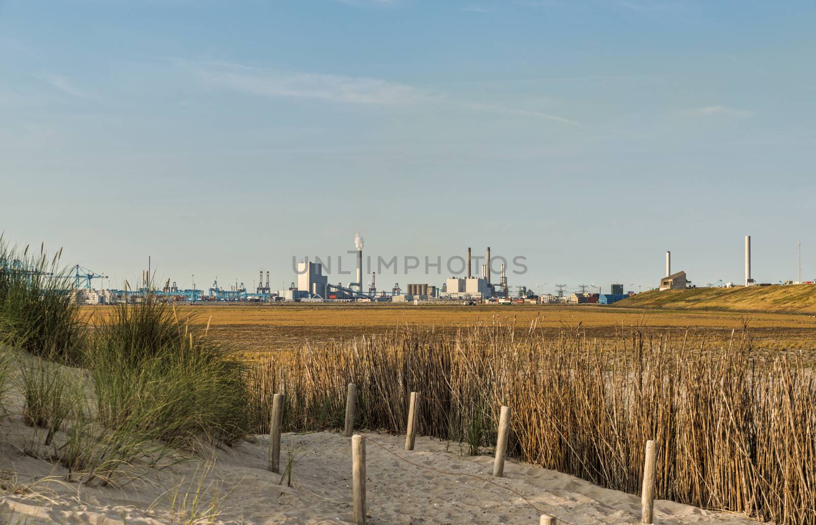 the contrast between the dunes the beginning of the beach and the oil and chemical activity of the industrial zone of rotterdam europoort