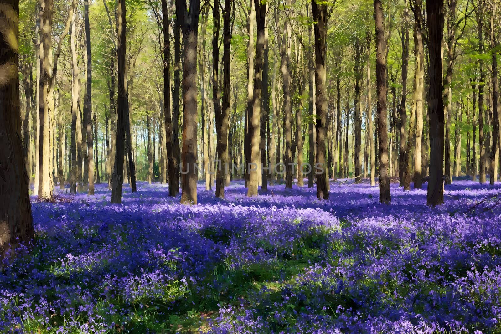 Bluebells in Wepham Woods by phil_bird