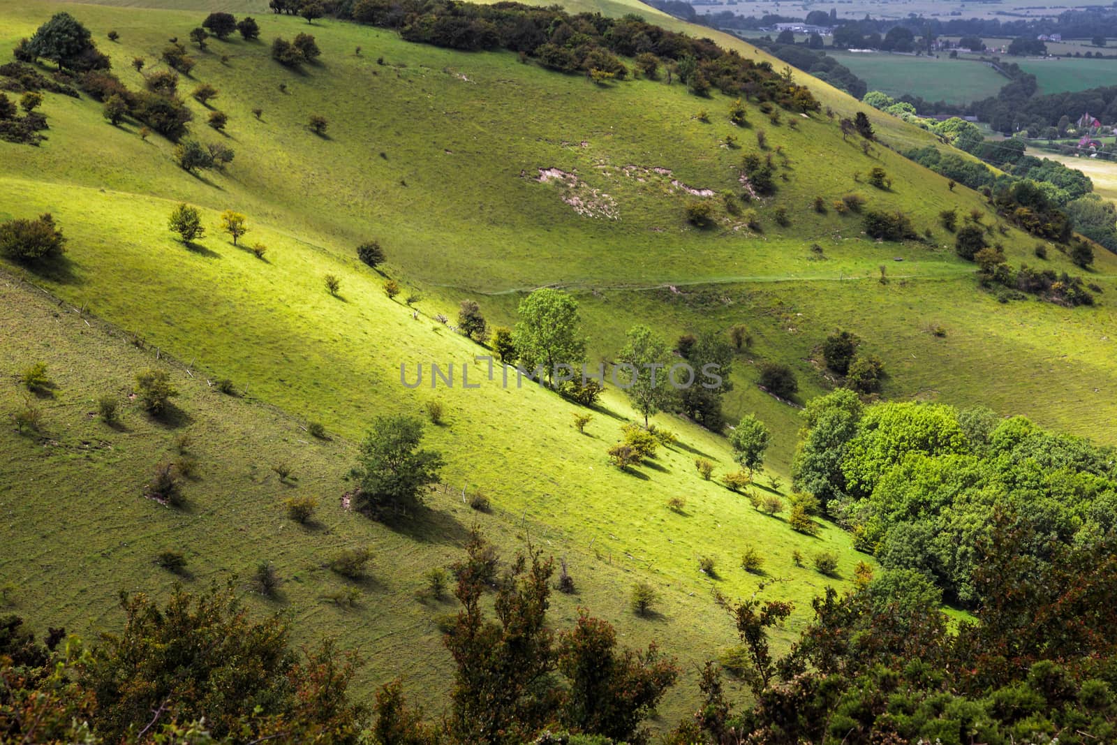 Rolling Sussex Countryside