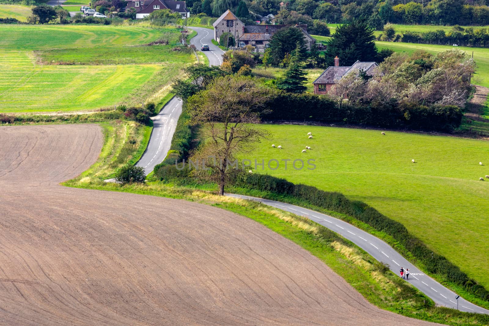 Rolling Sussex Countryside by phil_bird