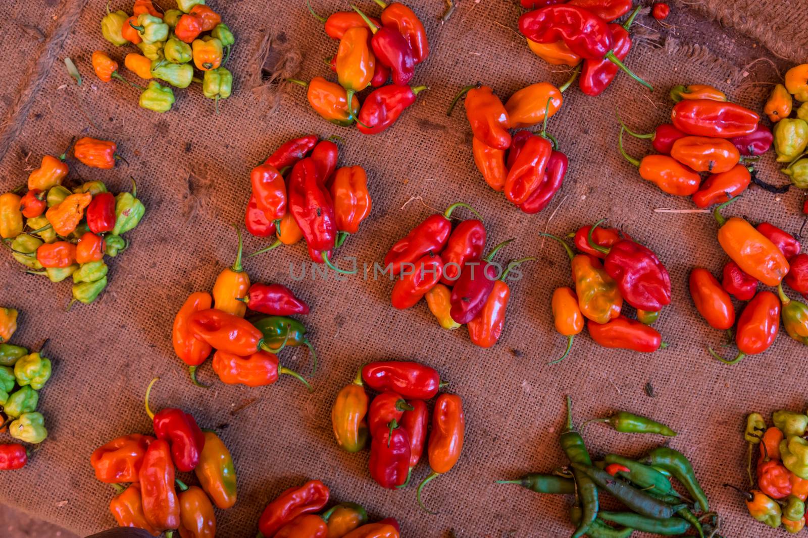 Colorful organic red paprika being sold at local food market.