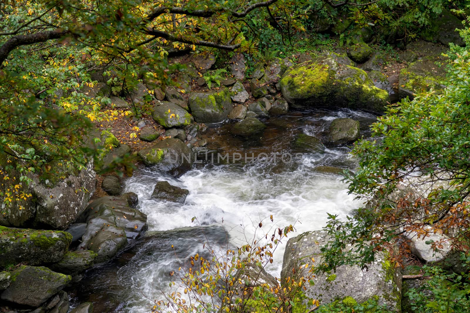 View of the East Lyn River by phil_bird