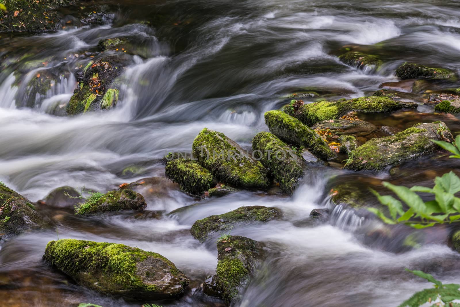 East Lyn River by phil_bird