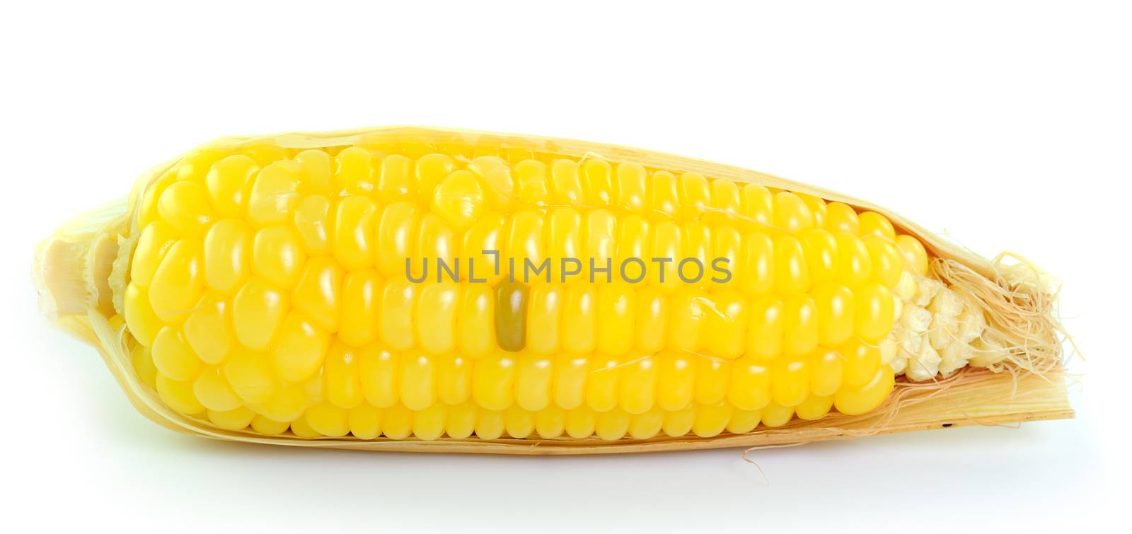 corn on white background by sommai