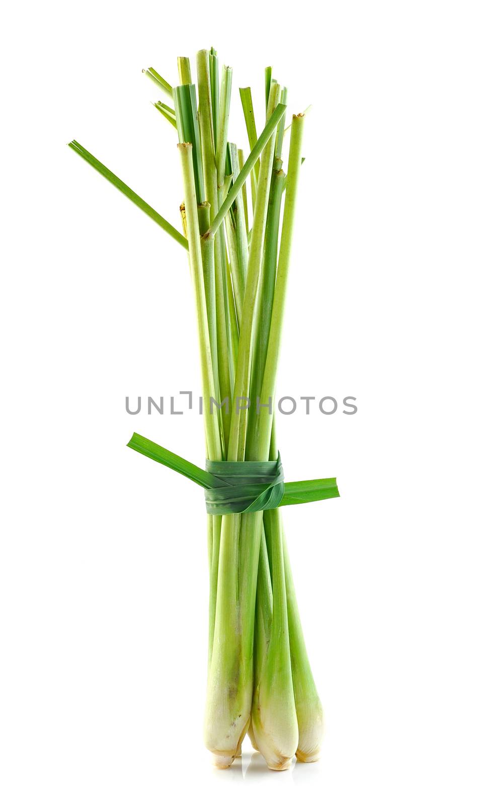 Lemon grass on white background