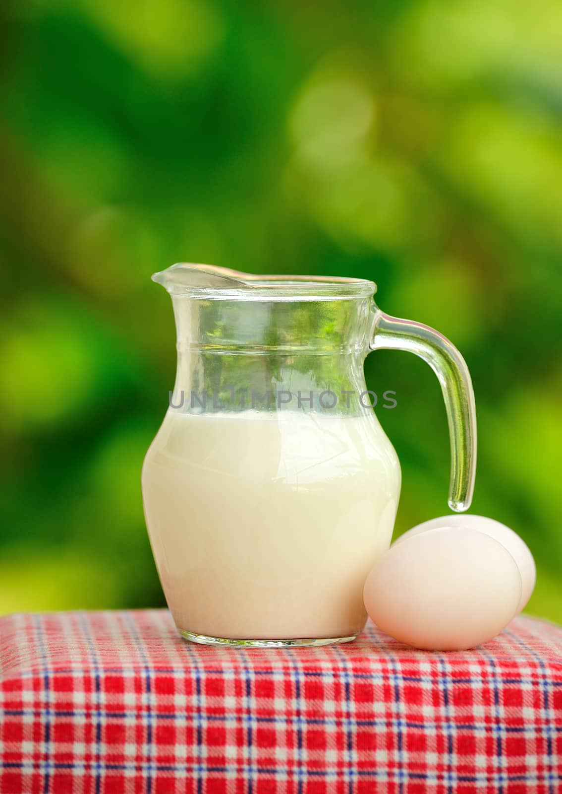 Pitcher of milk and eggs in the garden.