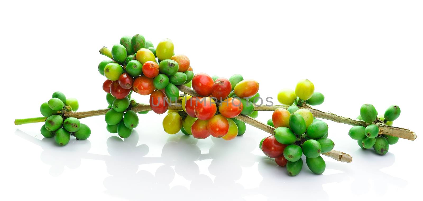 coffee beans isolated on white background by sommai