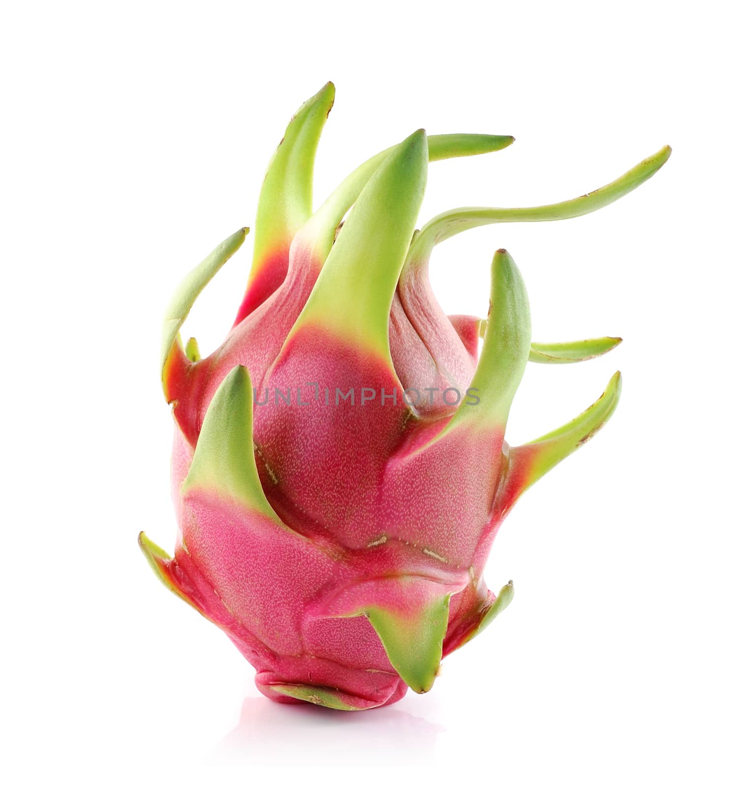 Dragon Fruit on white background by sommai