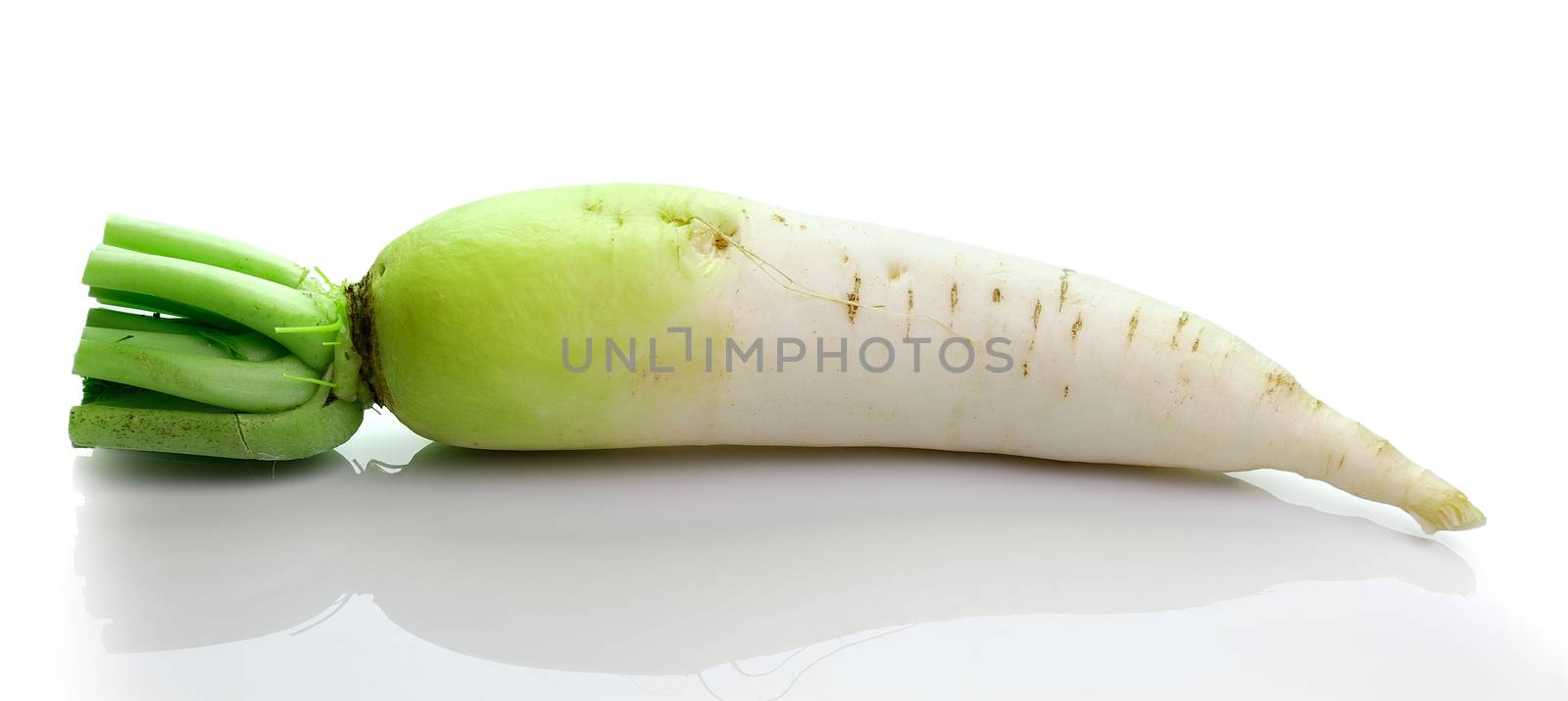 Daikon radishes isolated on white background