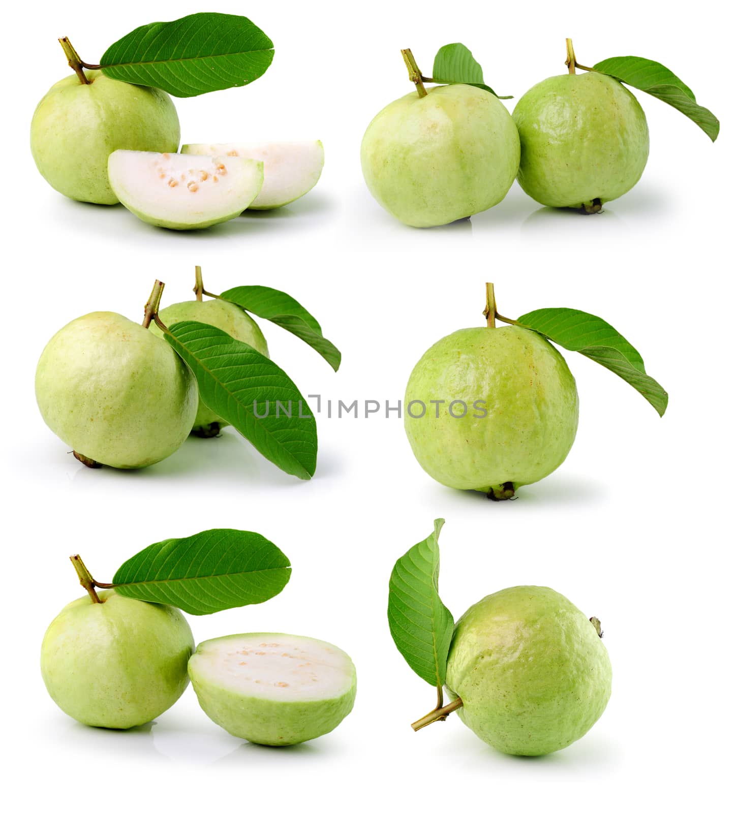 Guava (tropical fruit) on white background