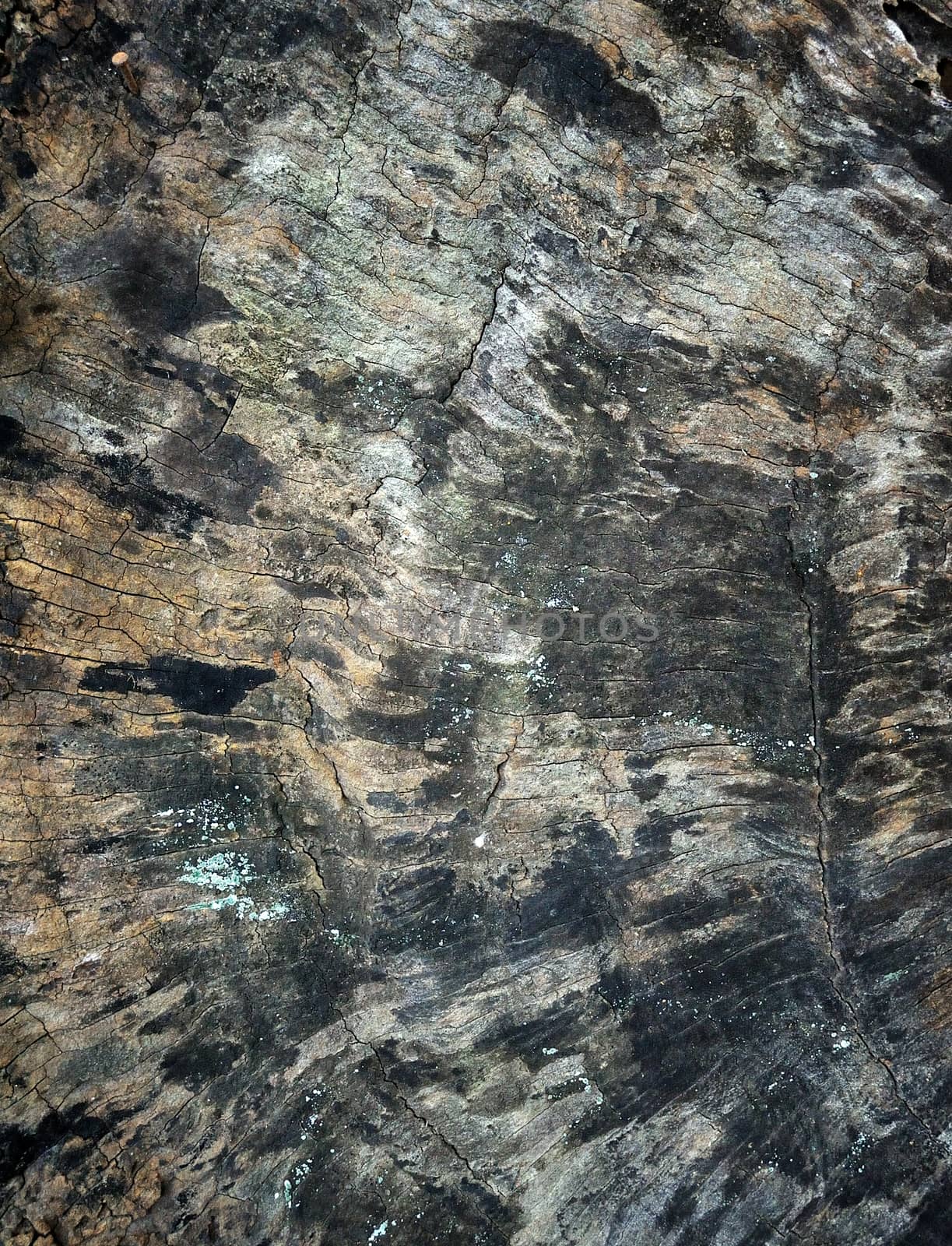 old black wood texture (for background) by sommai