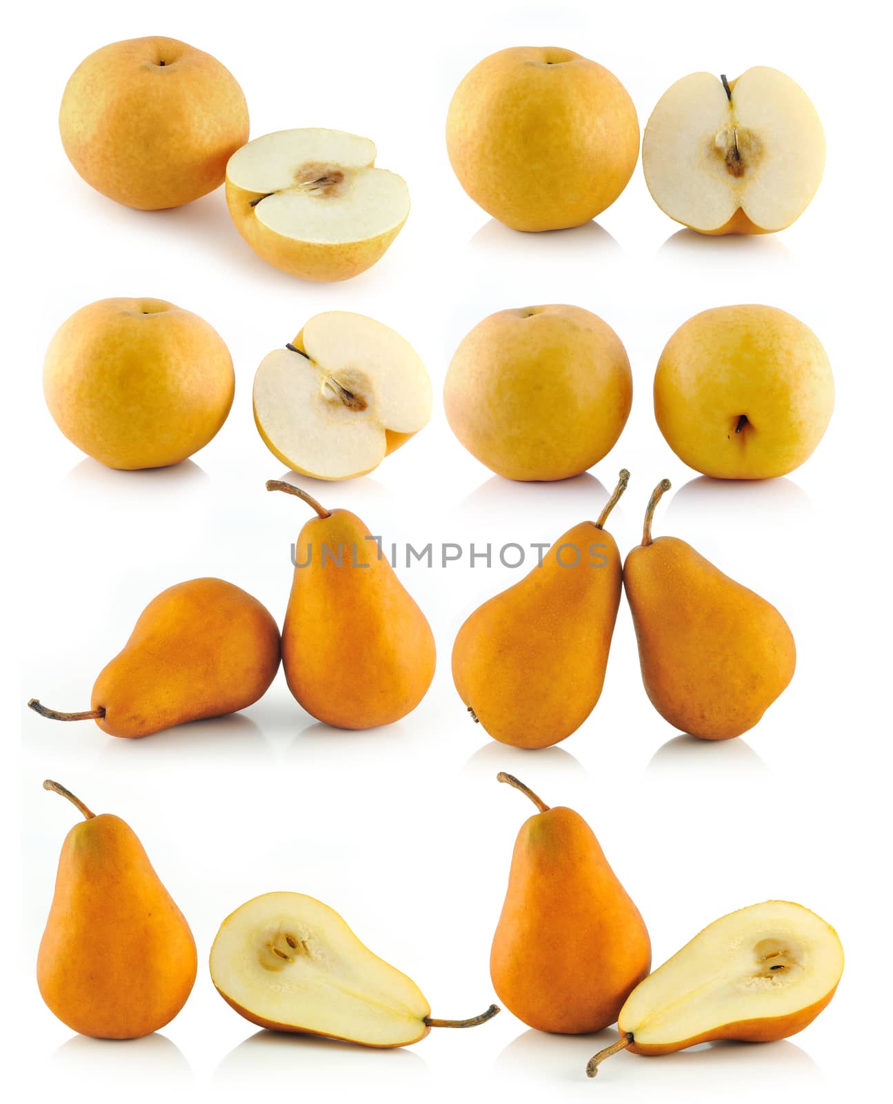 pear on white background by sommai