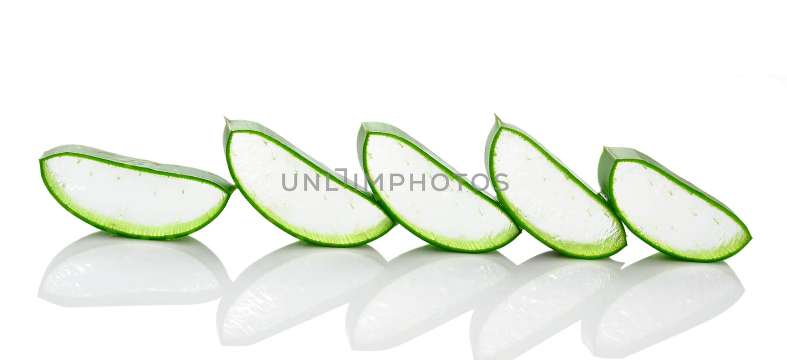 aloe vera fresh leaf. isolated over white