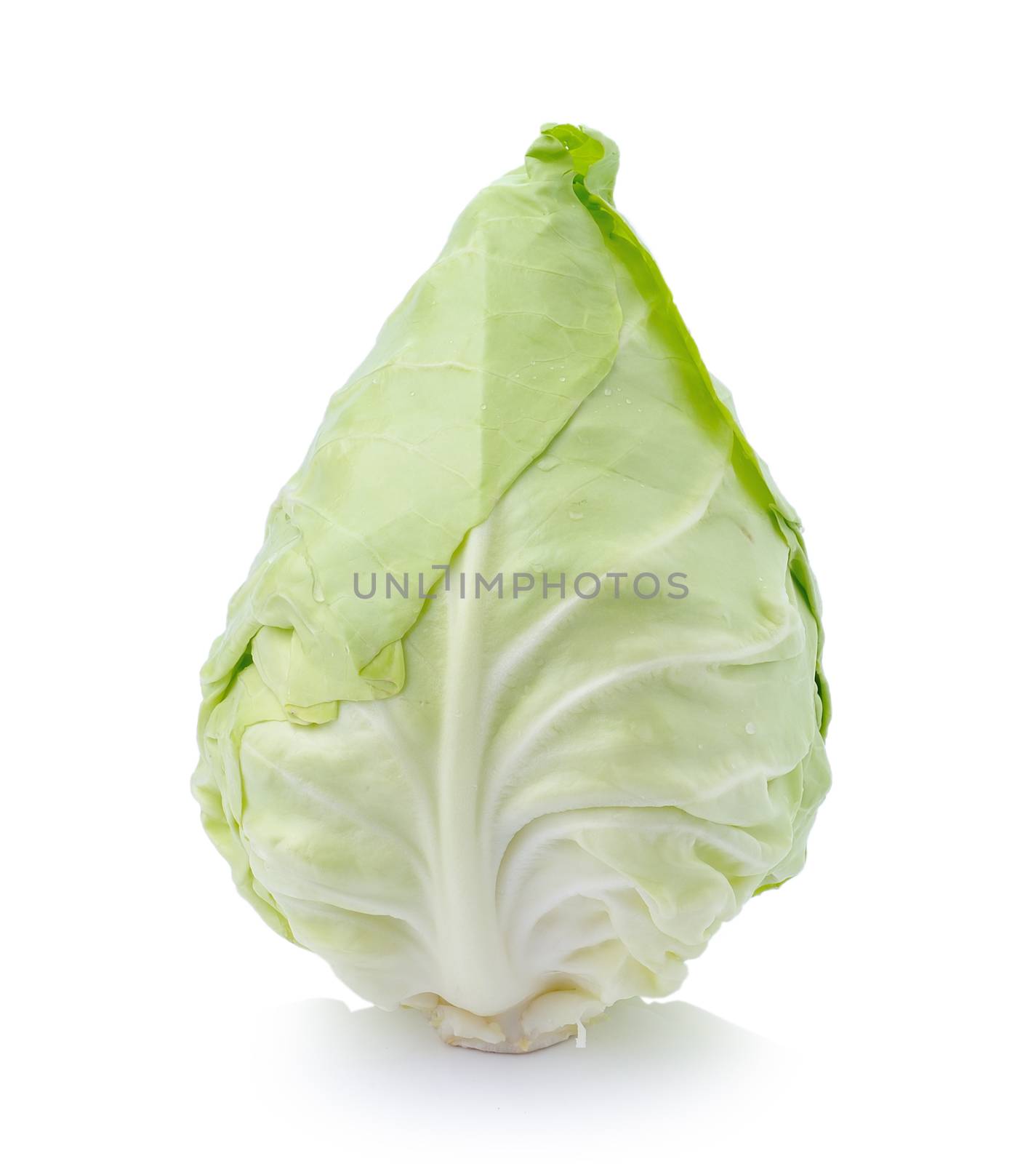 green cabbage isolated on white