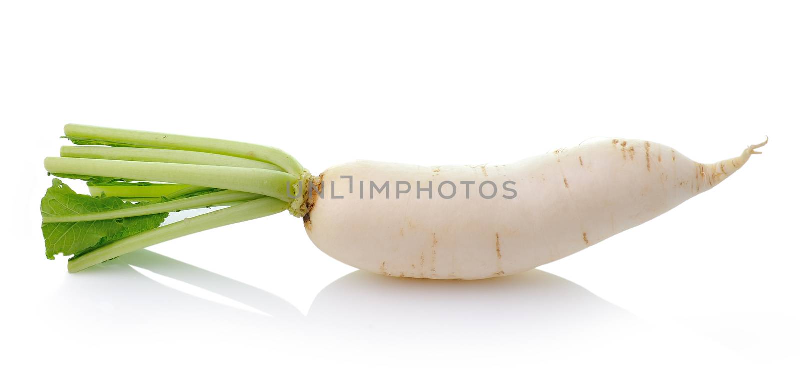 Daikon radishes isolated on white background by sommai