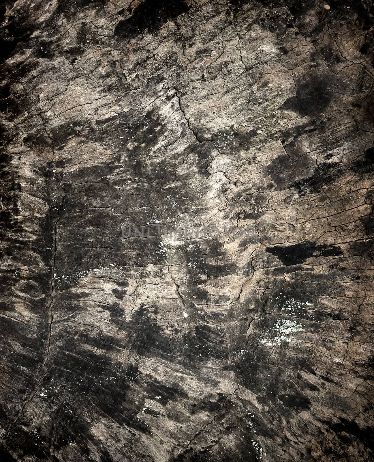 old black wood texture (for background) by sommai