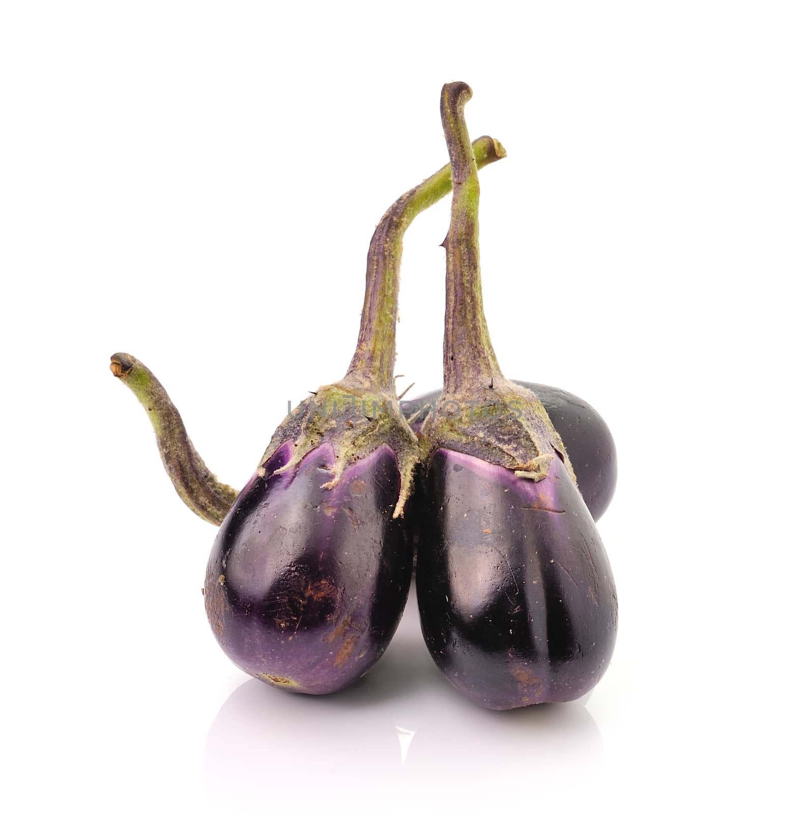 Fine blue eggplant isolated on white background