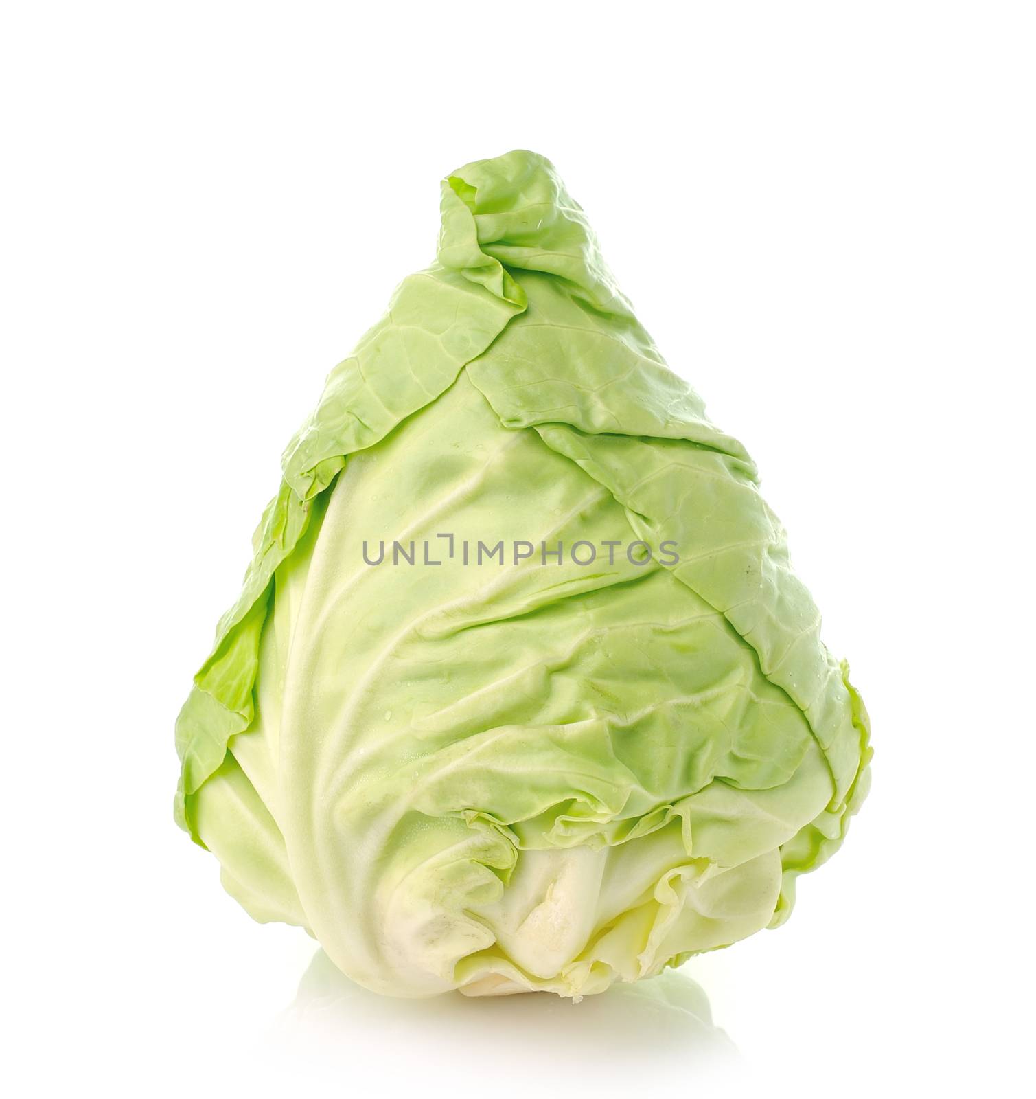 green cabbage isolated on white by sommai