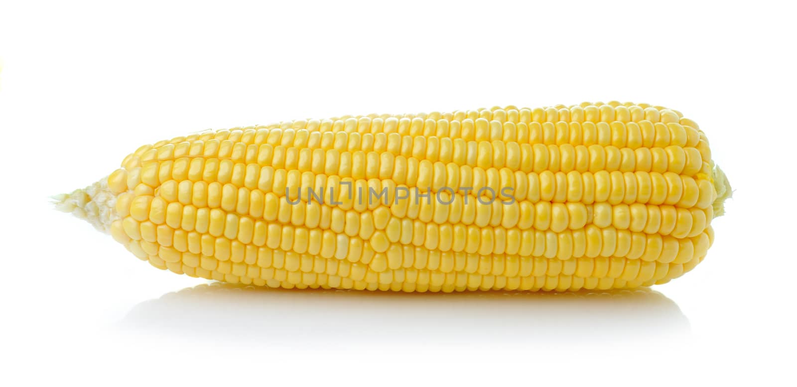 corn isolated on white background