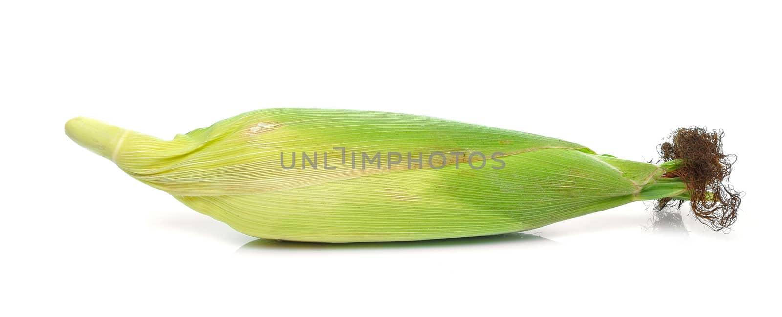 corn isolated on white background by sommai