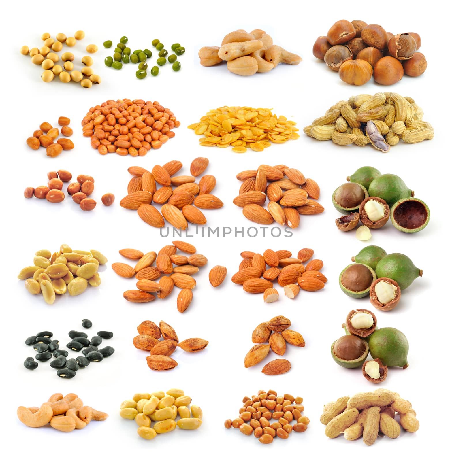 almond ,macadamia nuts, peanut , black beans, Cashew Nuts, green by sommai