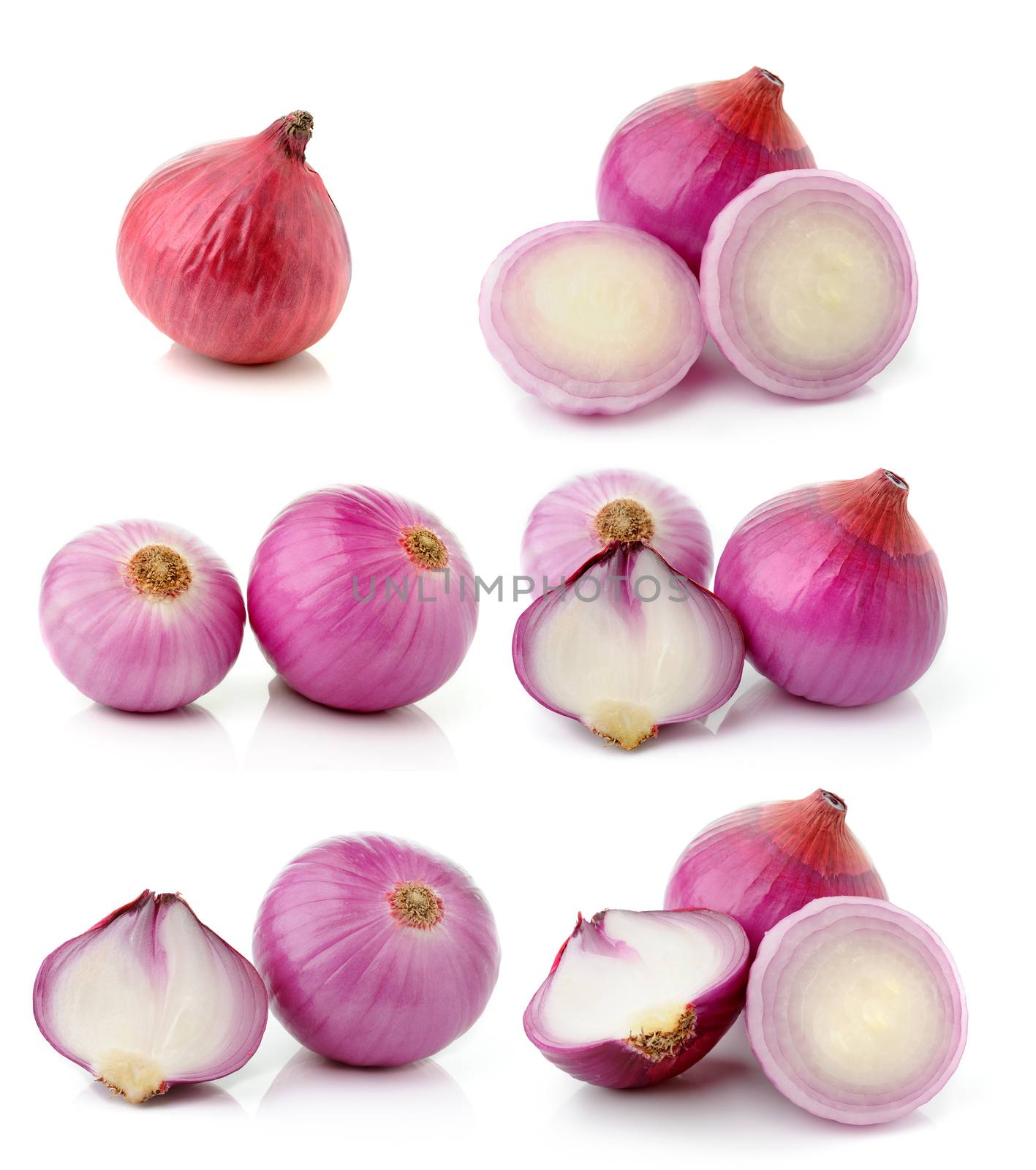 shallots isolated on white background by sommai