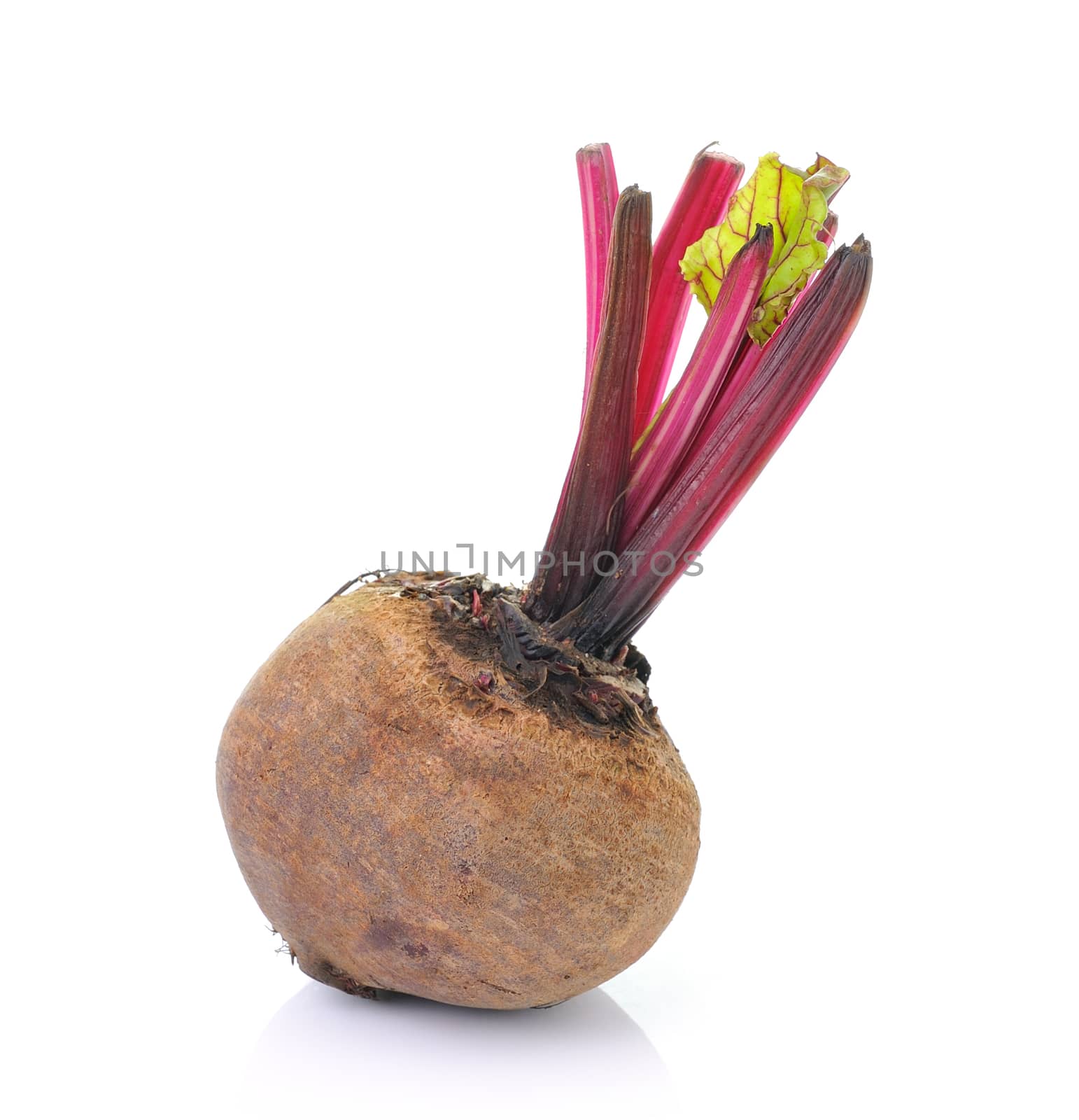 Beetroots isolated on white background by sommai