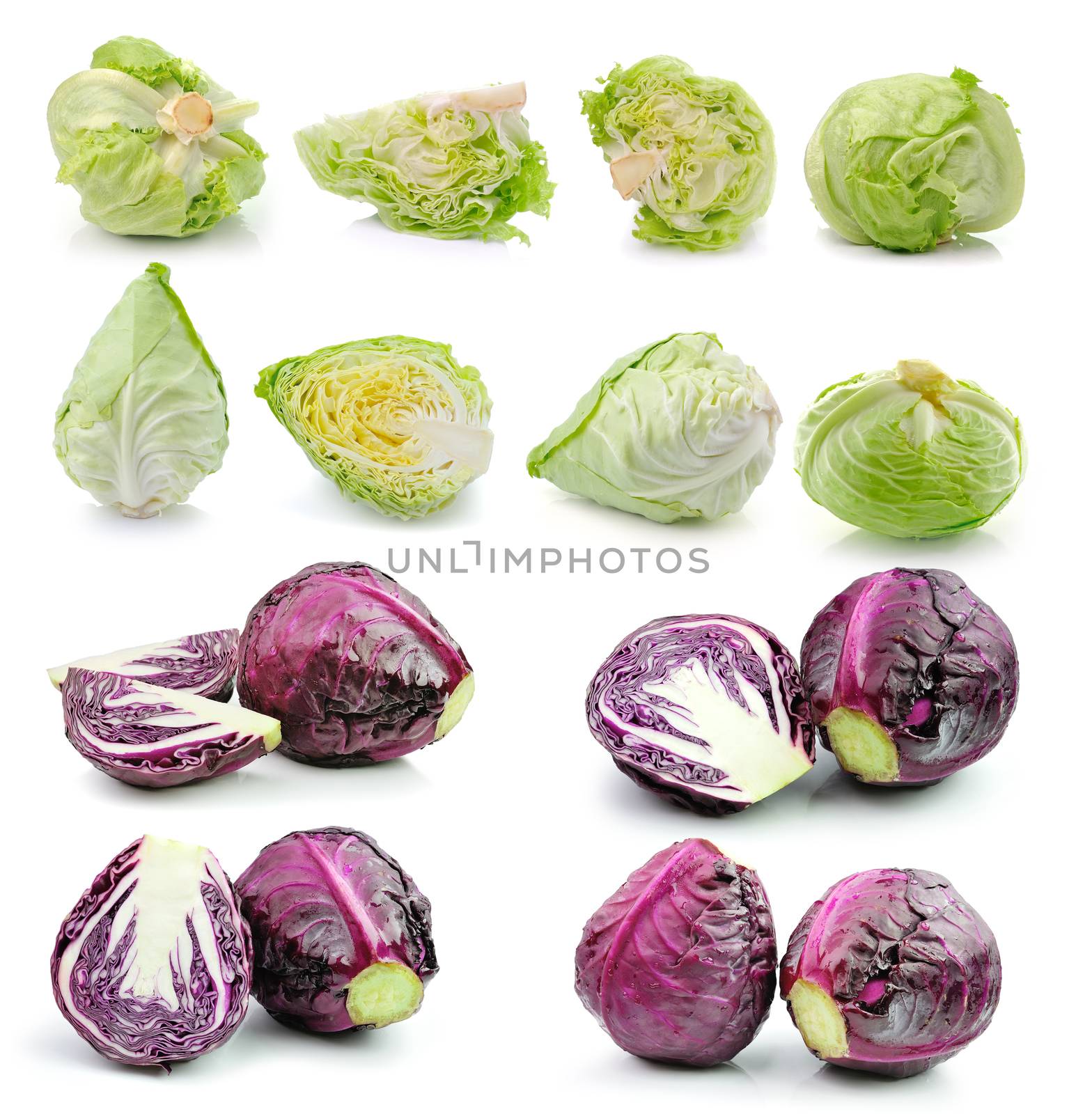 cabbage isolated on white background by sommai