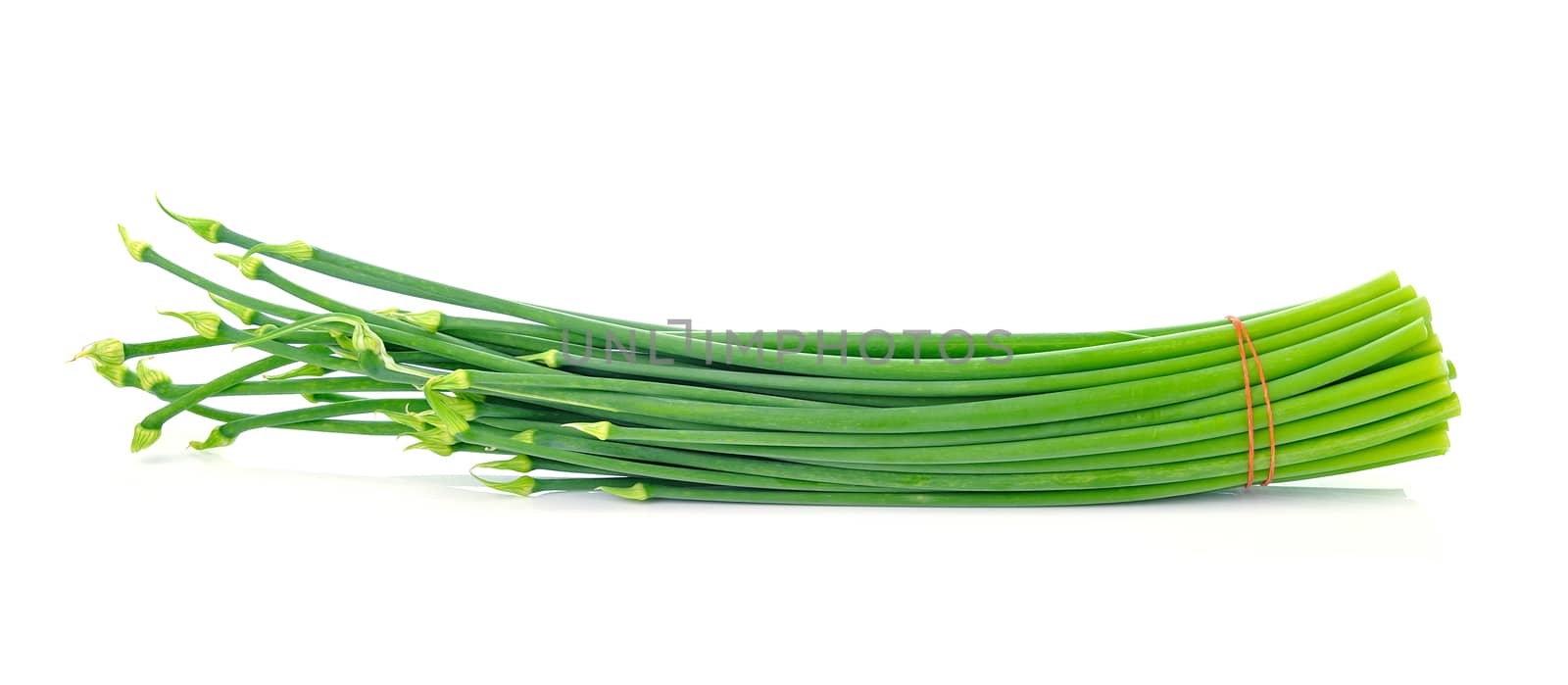  Onion Flowers, isolated on white background