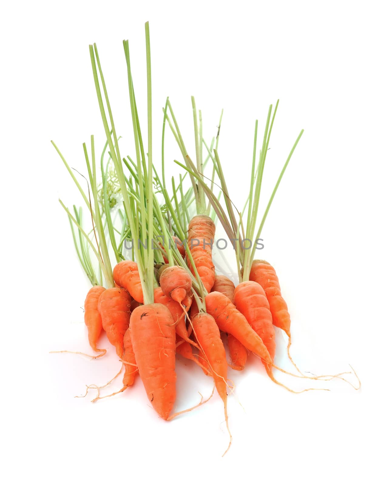 carrot isolated on white background by sommai