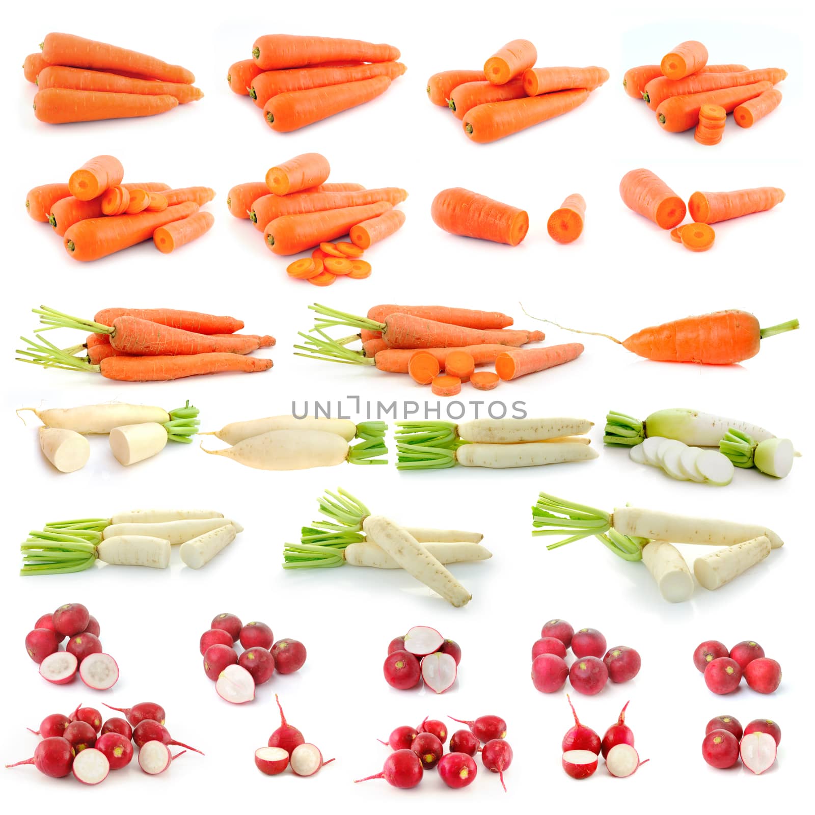 Carrot, radish isolated on white background by sommai