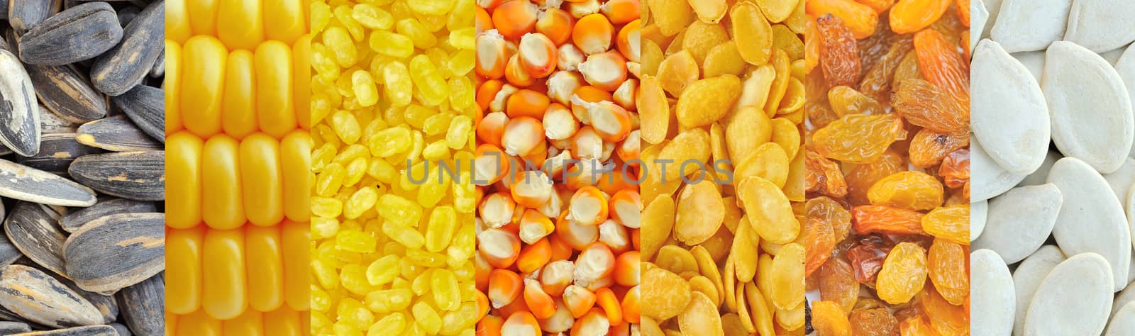 Corn, soybeans, raisins, sunflower seeds, pumpkin seeds ,Grains  by sommai