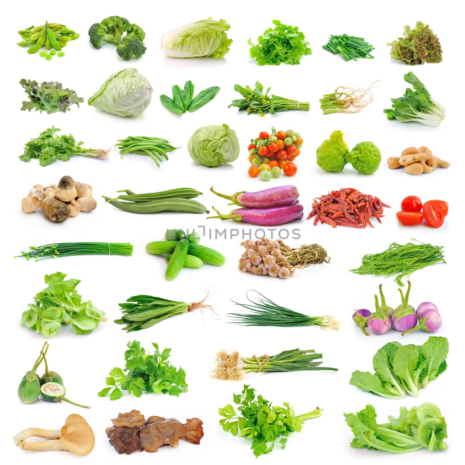 vegetable isolated on white background