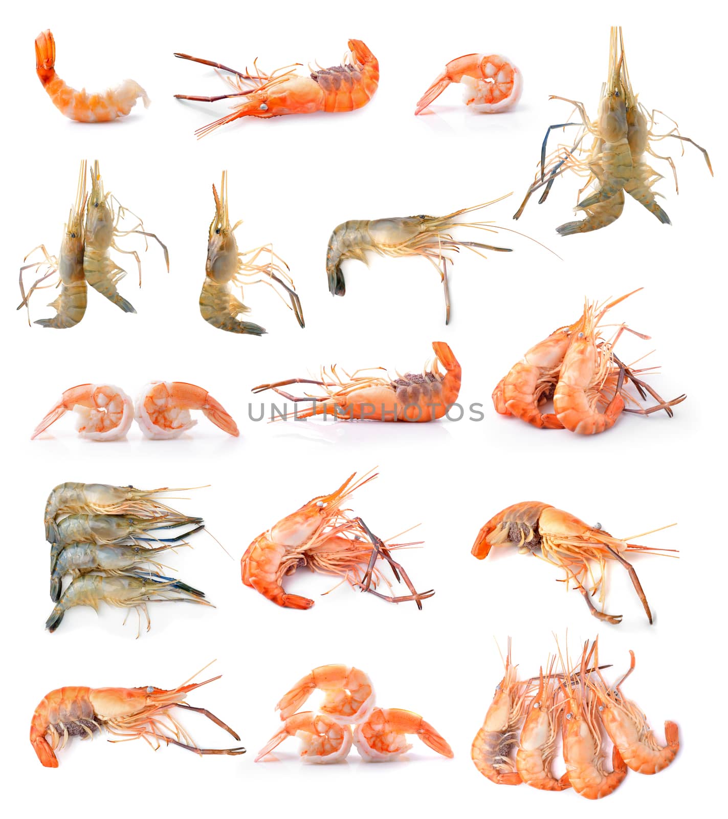  shrimp isolated on white background by sommai