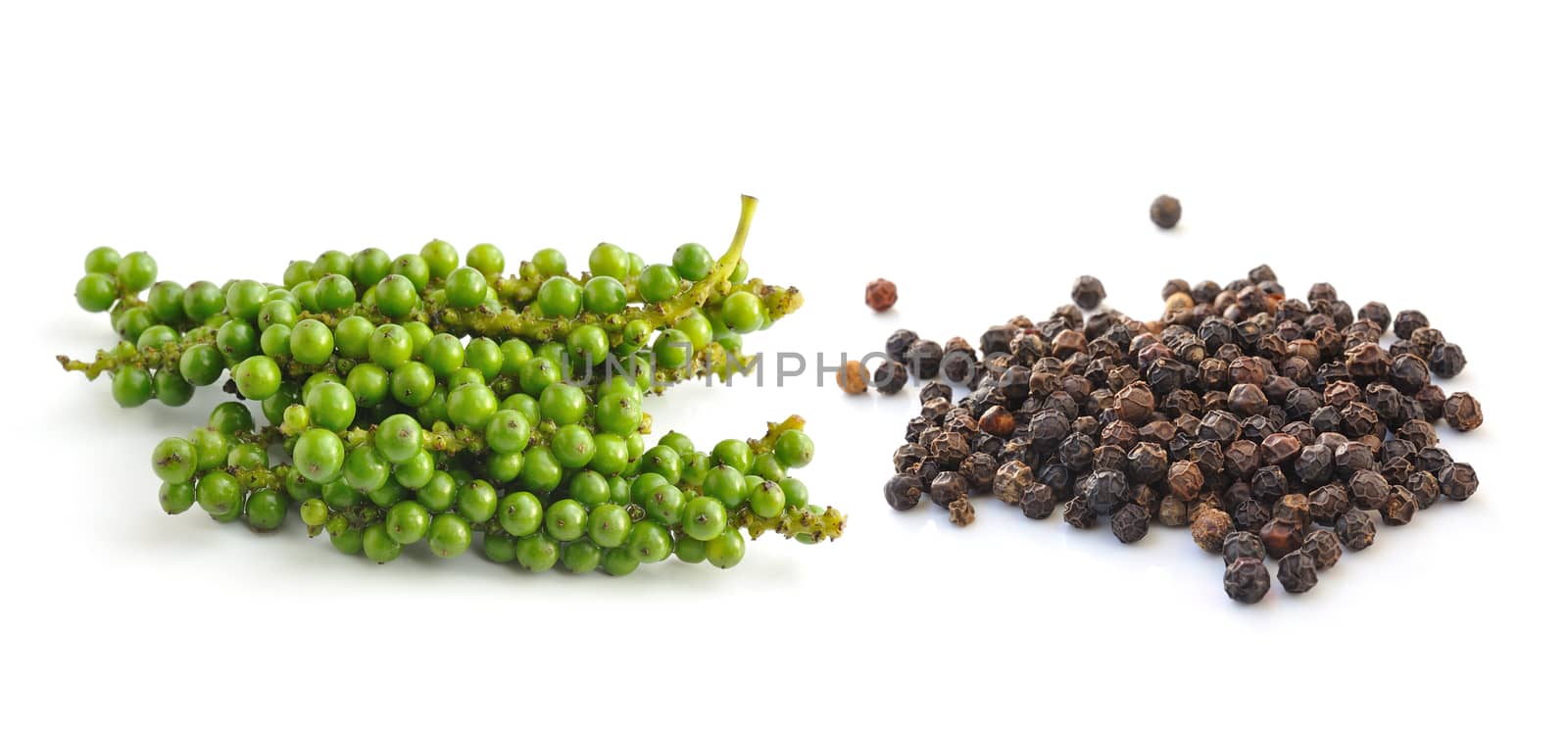 Bunches of fresh green pepper and Black peppercorn isolated on white background