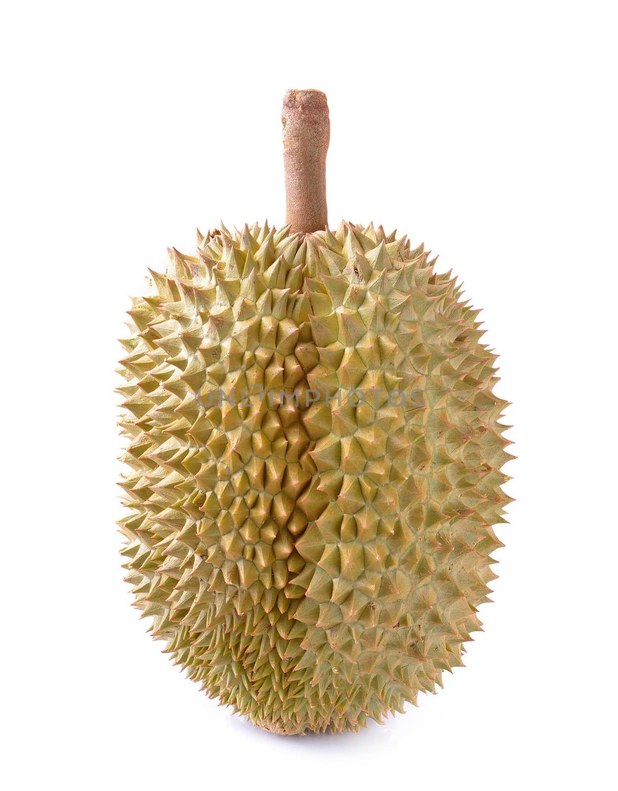 durian isolated on white background