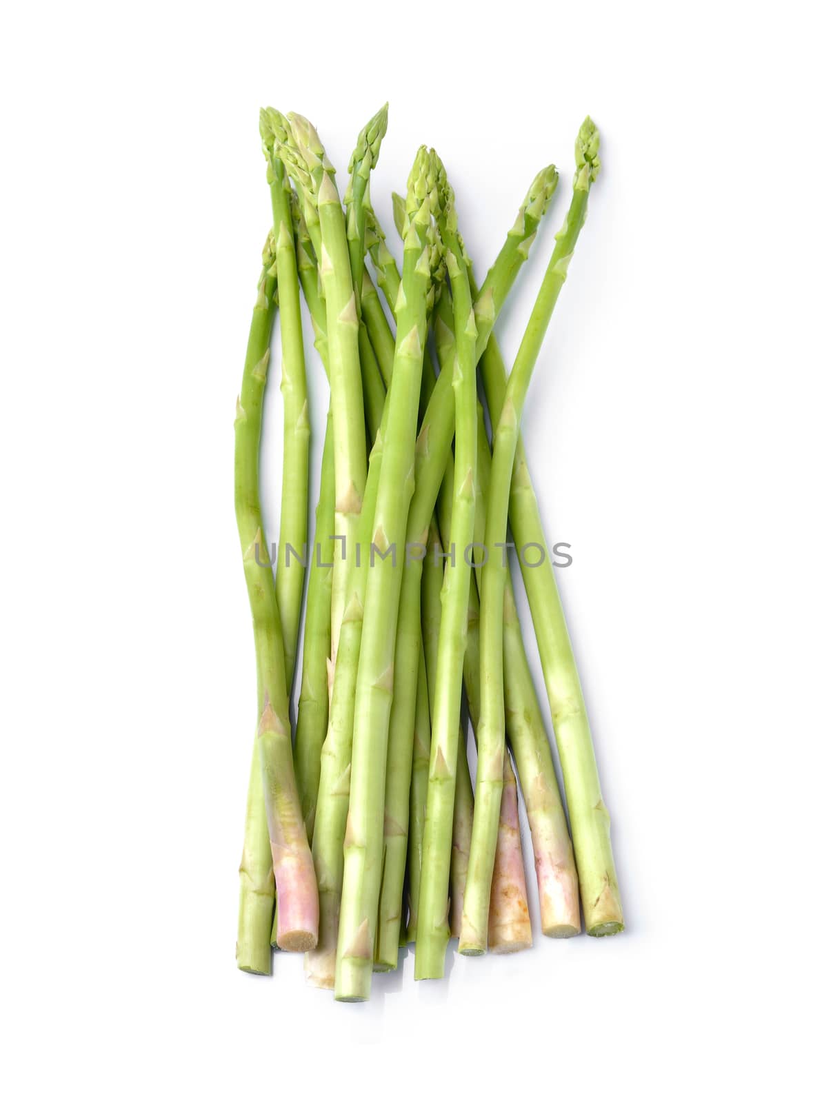 asparagus on white background