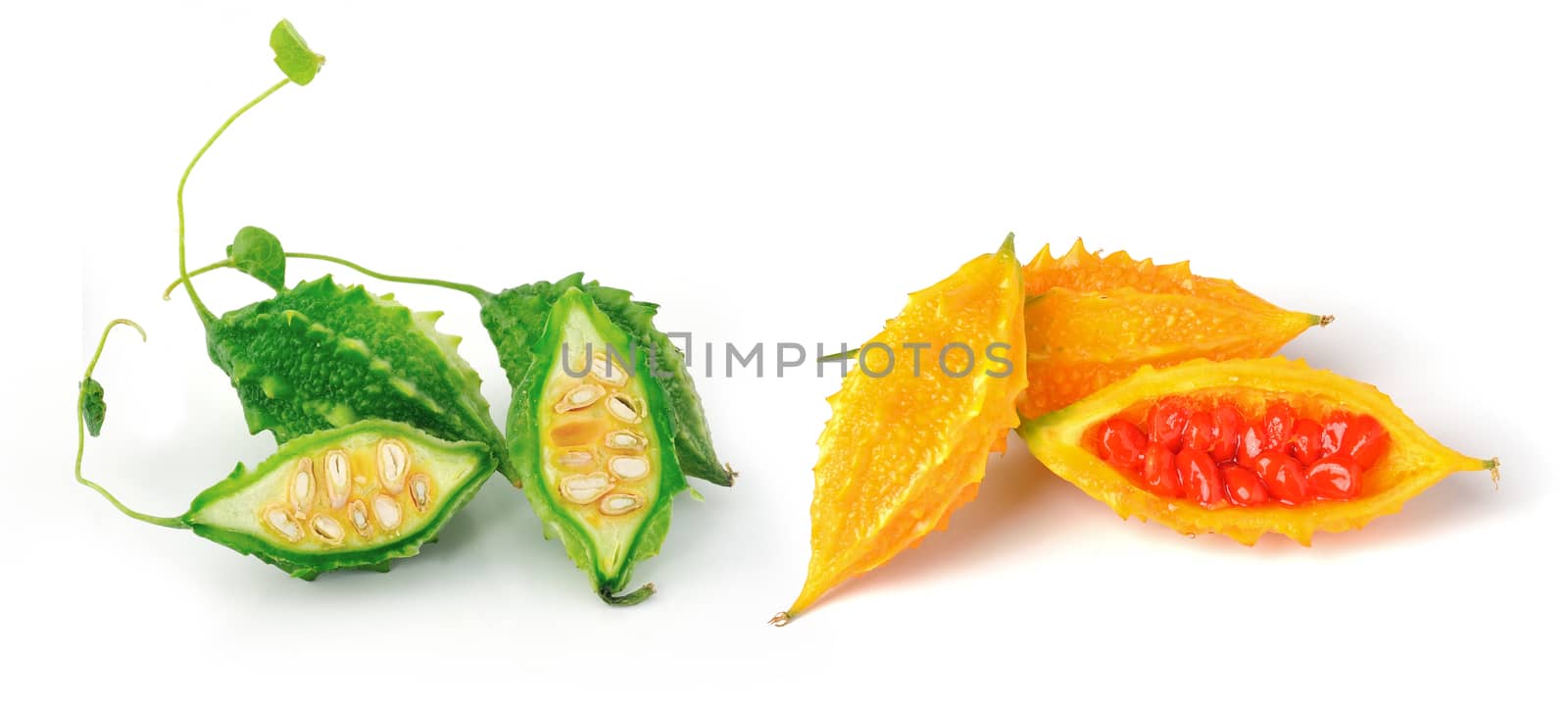  bittermelon isolated on white background by sommai