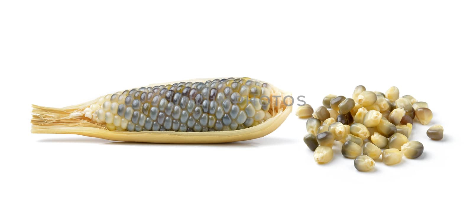 corn isolated on white background by sommai